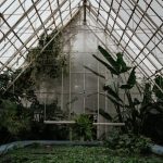 conservatory refurbishment