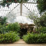 Conservatory Glare