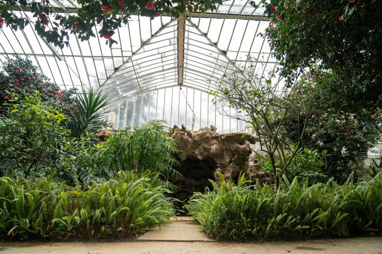 Beating Conservatory Glare with an Insulated Roof Upgrade